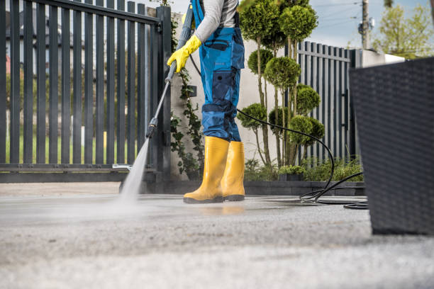 Best Animal Enclosure Cleaning  in Franklin Furnace, OH